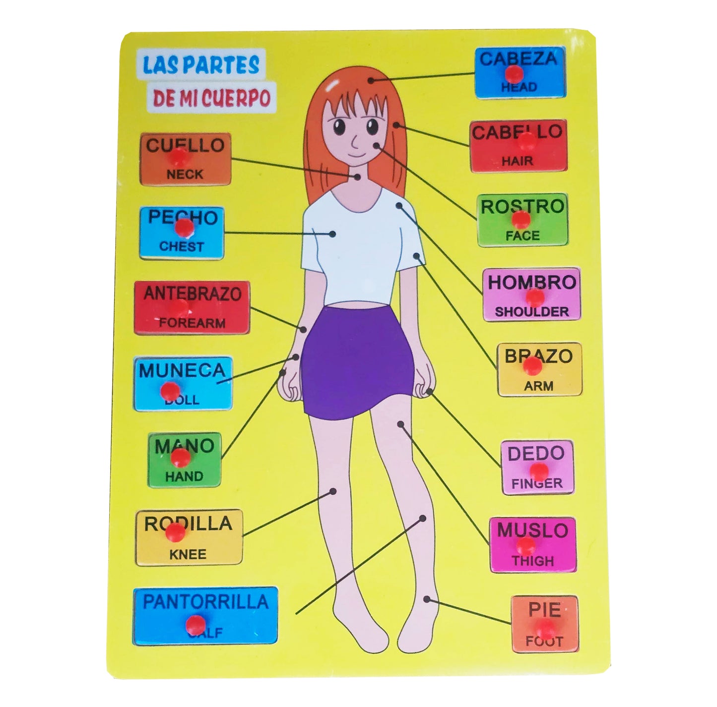 Juego Madera Partes Del Cuerpo En Ingles